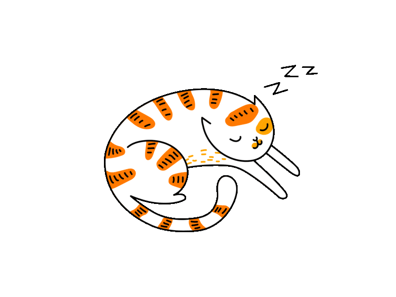 Animated and illustrated cat sleeping